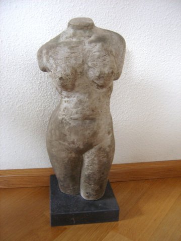 torso.jpg