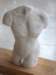 wittetorso_small.jpg